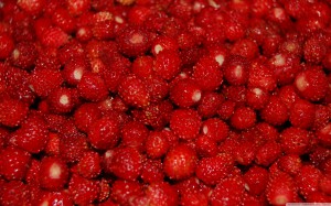 весенний авитаминоз 3