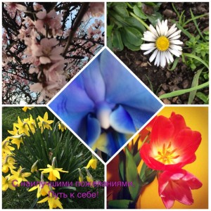 s Prazdnikom 8 marta